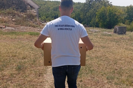 Ublažavanje siromaštva: Najugroženijim porodicama prehrambeni paketi dostavljaju se u njihove domove