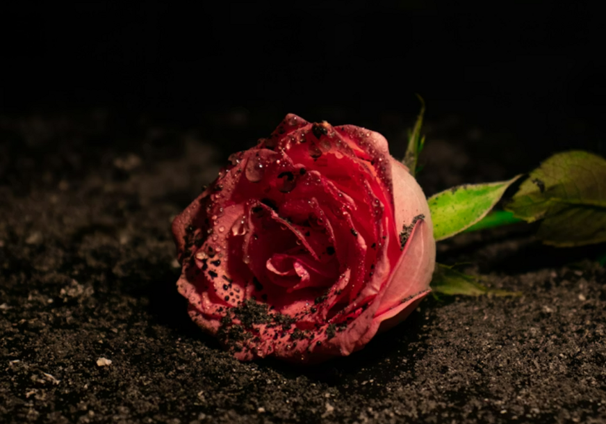 FOTO: UNSPLASH