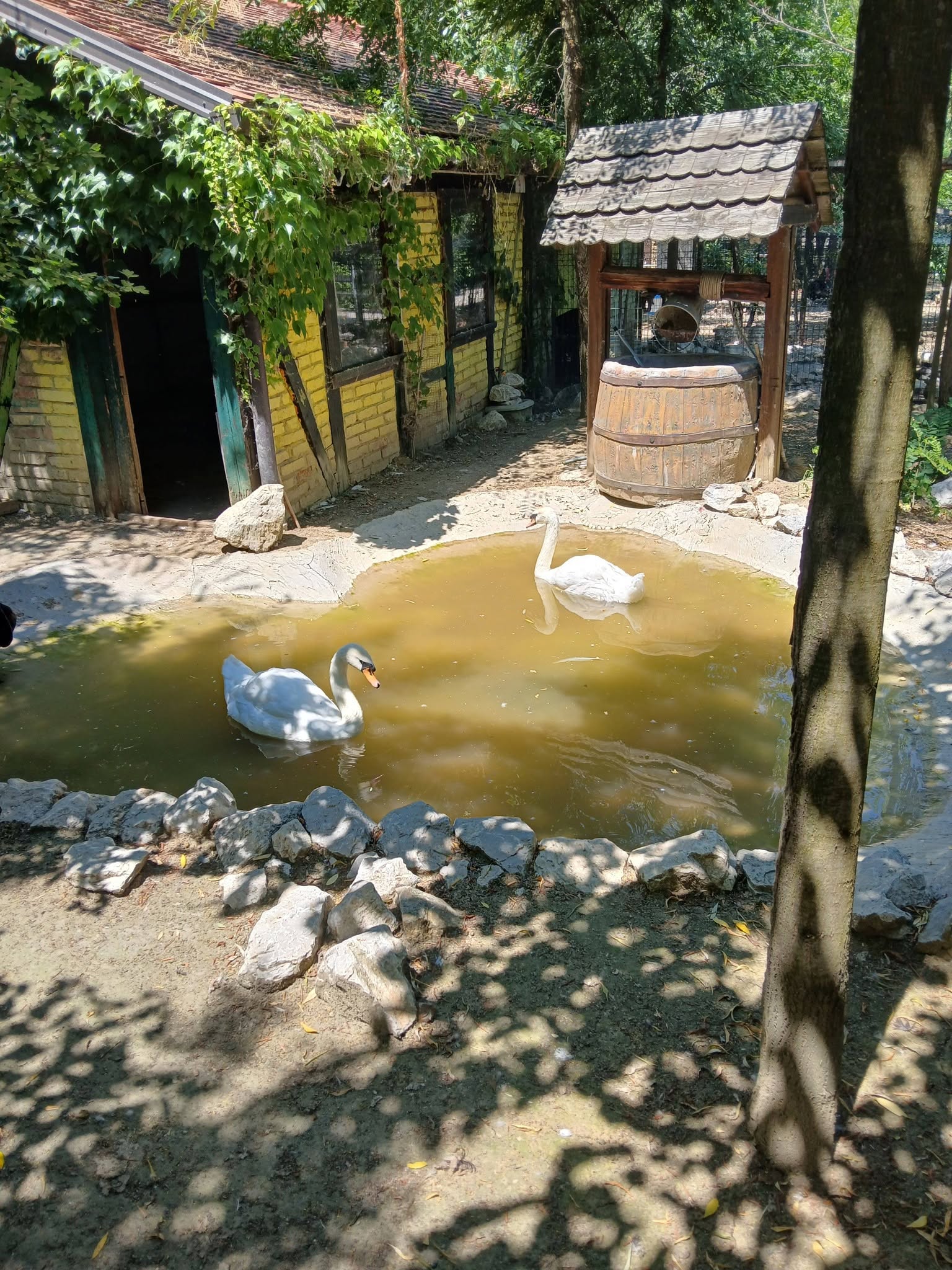 FOTO: E. MURAČEVIĆ
