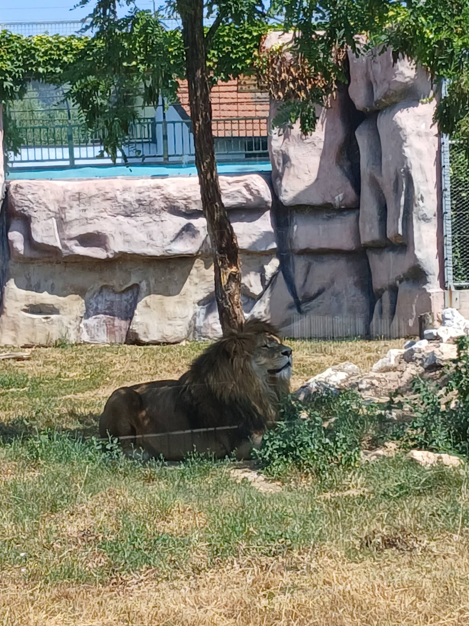 FOTO: E. MURAČEVIĆ