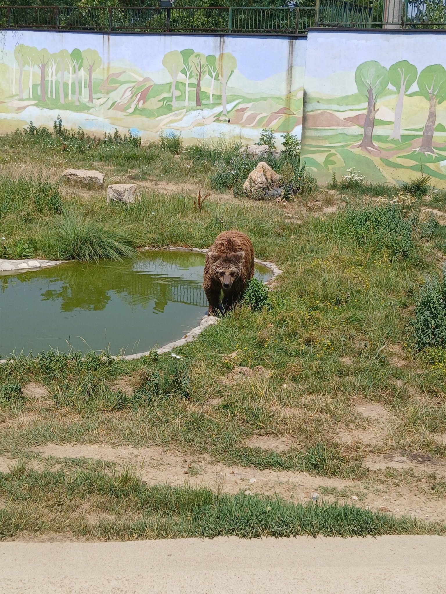 FOTO: E. MURAČEVIĆ