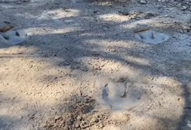 Fosil zaboravljen 40 godina potvrđen kao prva kost dinosaura pronađena na Antarktiku
