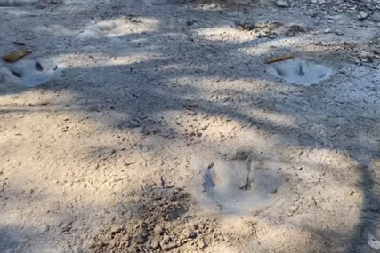 Fosil zaboravljen 40 godina potvrđen kao prva kost dinosaura pronađena na Antarktiku