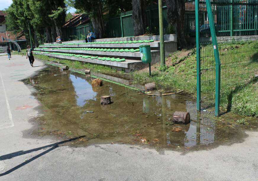 FOTO: ESET MURAČEVIĆ