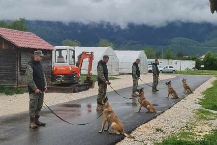 Oružane snage BiH dobile nove pse za otkrivanje mina, saradnja koja spašava živote