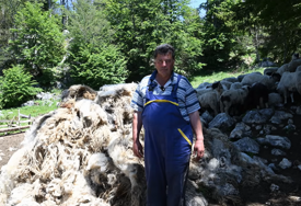 Anto poklanja 500 kg vune da je ne spali