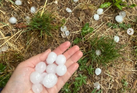 Led veličine lješnika padao u Palama, dio opštine ostao bez struje