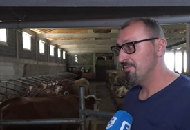 Prva moderna farma u BiH: Stočar uveo robote i dušeke za odmor krava