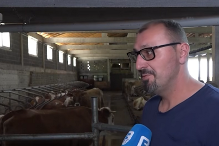 Prva moderna farma u BiH: Stočar uveo robote i dušeke za odmor krava