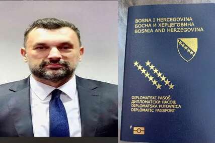 Bisera Turković: "Zašto Konaković na kaže koliko je izdao diplomatskih pasoša