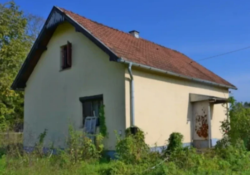 FOTO: BLIC TV / RINGIER