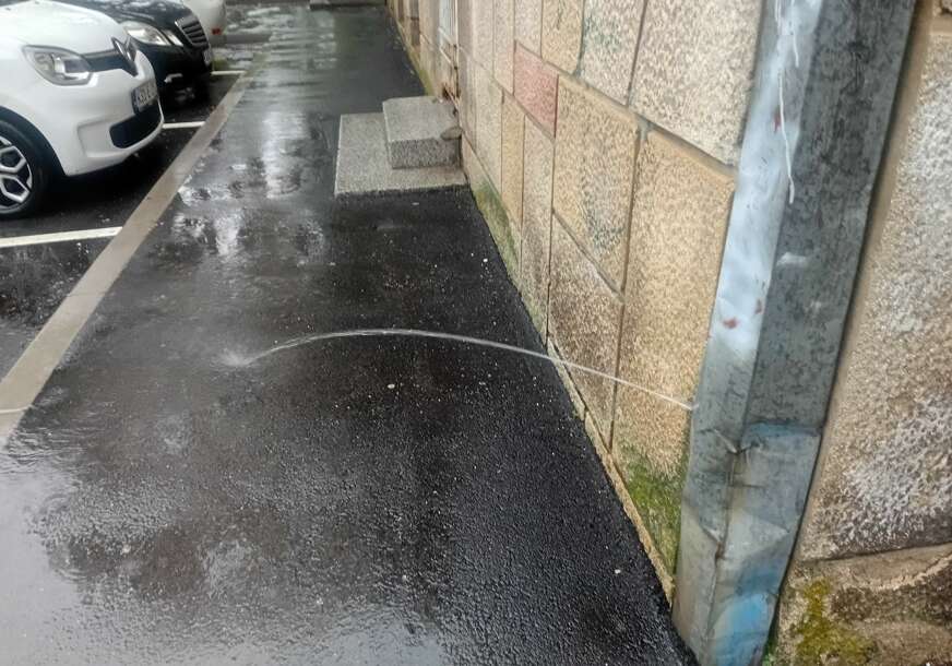 FOTO: E. MURAČEVIĆ