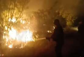 VIDEO Vatrogasci proveli besanu noć, branili sela kod Trebinja. Komandir apelovao: "Potrebni su nam ljudi!"