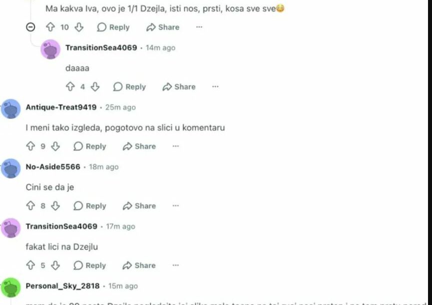 FOTO: RASPRAVA NA REDDITU O MISTERIOZNOJ DJEVOJCI (SCREENSHOT: REDDIT)
