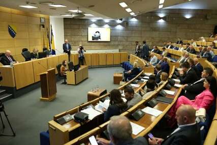 SDA i DF podržali zakon o Novoj Željezari Zenica: "Svako radno mjesto je bitno"