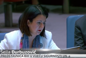 Govor o kojem bruji BiH: Evo kako je naša ambasadorica odgovorila na priču o "humanosti" prema zločincu Mladiću