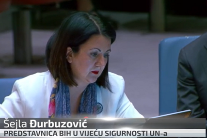 Govor o kojem bruji BiH: Evo kako je naša ambasadorica odgovorila na priču o "humanosti" prema zločincu Mladiću