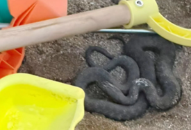 Zmija među dječjim igračkama na crnogorskoj plaži