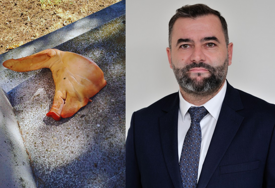 Alić: Gnusno, vandalsko i sramotno skrnavljenje Liska harema