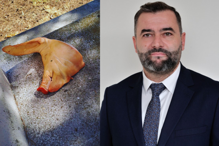 Alić: Gnusno, vandalsko i sramotno skrnavljenje Liska harema