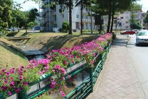 FOTO: E. MURAČEVIĆ
