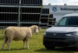 Volkswagen umjesto kosilica angažovao 100 ovaca