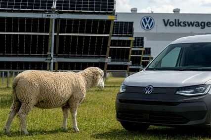 Volkswagen umjesto kosilica angažovao 100 ovaca