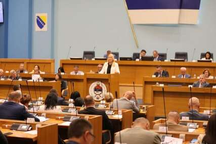 Željka Cvijanović obrazložila zašto je pokrenula veto