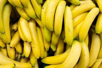 Kako je više od 500 kilograma kokaina sa BANANAMA stiglo do luke Ploče?