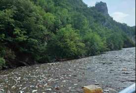 FOTO Mještani Međeđe očajni: Sami krenuli čistiti Drinsko jezero, nadležni i dalje šute
