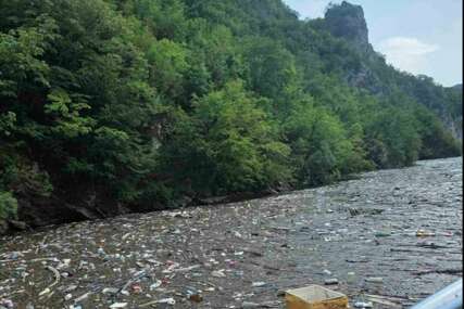 FOTO Mještani Međeđe očajni: Sami krenuli čistiti Drinsko jezero, nadležni i dalje šute