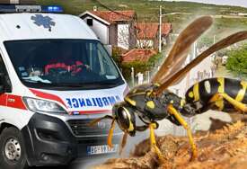 Tragedija u Beogradu: Muškarac preminuo nakon napada roja osa
