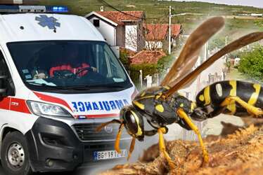 Tragedija u Beogradu: Muškarac preminuo nakon napada roja osa
