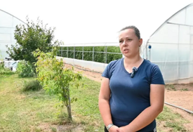 Ilda Begović iz Visokog: Krenula sam od nule, a danas imam tri plastenika i širim proizvodnju