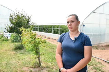 Ilda Begović iz Visokog: Krenula sam od nule, a danas imam tri plastenika i širim proizvodnju