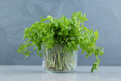 Mala nutritivna zvijezda: Koliko je kresa zaista zdrava?