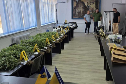 U Goraždu otkrivena laboratorija za uzgoj marihuane