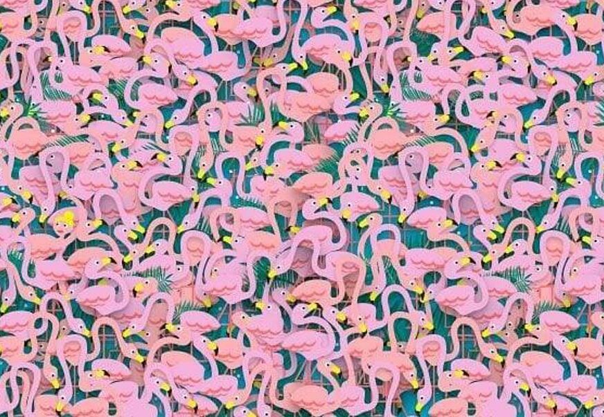 FOTO: ILUSTRACIJA