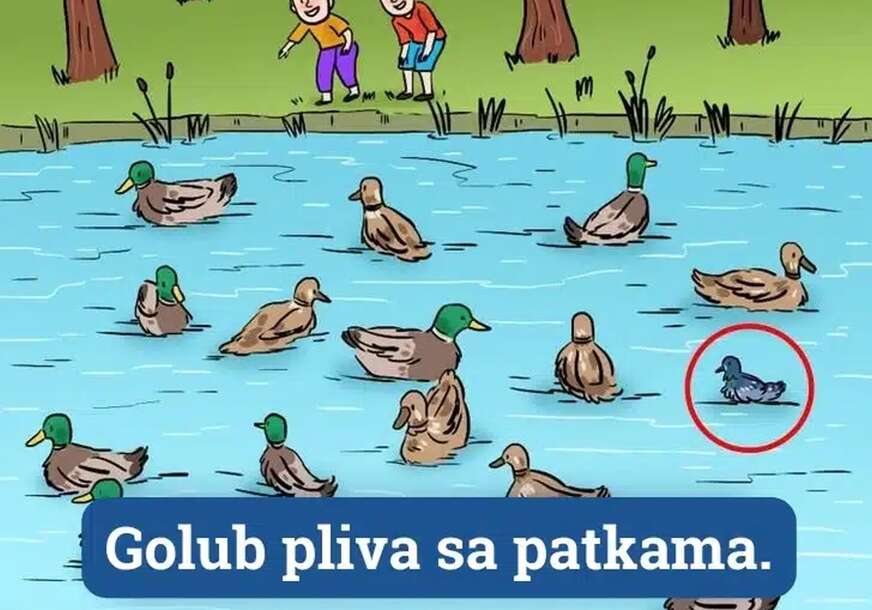 FOTO: STUDOMAT 