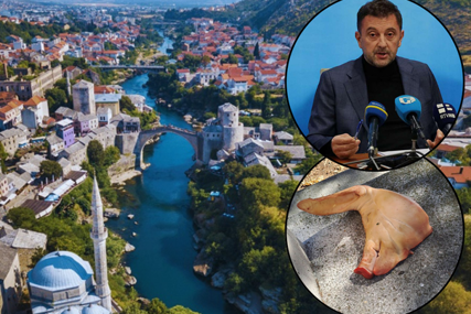 Policija i gradonačelnik Mostara se oglasili o svinjskoj glavi na mezarju