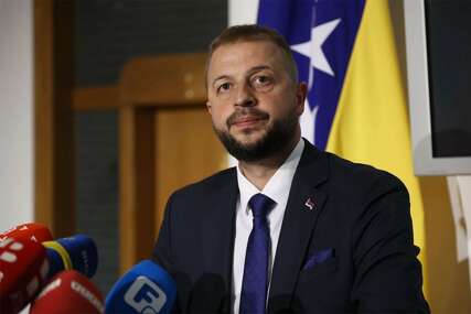 Nešković: Kome treba novih 1.880 službenika na nivou BiH?