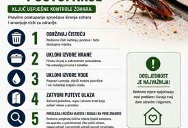 Stručnjaci upozoravaju: Pojava žohara u zgradama nosi ozbiljne zdravstvene rizike