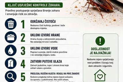 Stručnjaci upozoravaju: Pojava žohara u zgradama nosi ozbiljne zdravstvene rizike