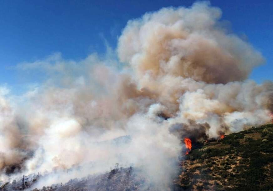 FOTO: EPA/BOUGIOTIS EVANGELOS