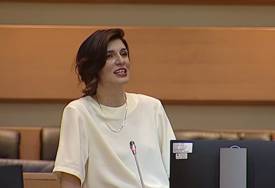 Ćudić: Budžet ogolio SNSD, jačaju državu koju “ruše”