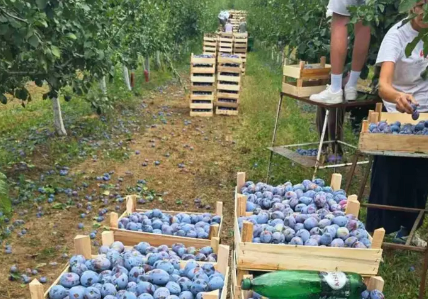 FOTO:  DŽEVAD ČOLIĆ
