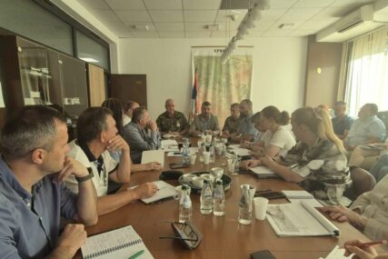 Afrička svinjska kuga registrirana u 18 općina diljem Srbije!