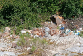 Slučaj uznemirio mještane, reagovale nadležne službe: Uginule kokoške bačene uz put kod Trebinja