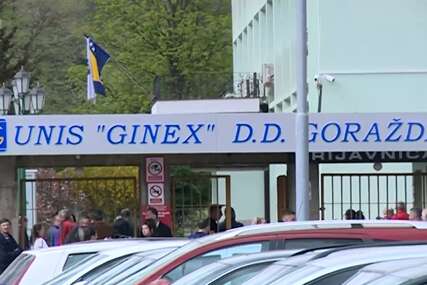 Unis Ginex dao slobodan dan radnicima zbog utakmice BiH i SAD na Svjetskom prvenstvu