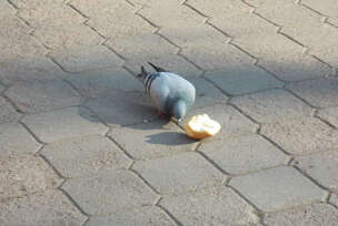 FOTO: ESET MURAČEVIĆ